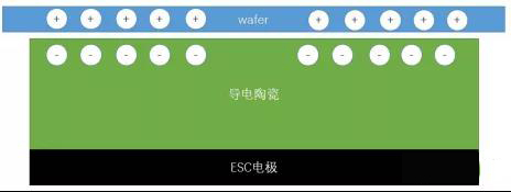 迥斯熱背ESC.jpg